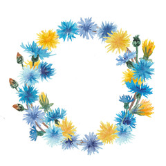 Fototapeta na wymiar Watercolor cornflowers wreath