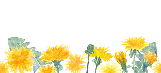 Watercolor dandelion seamless border