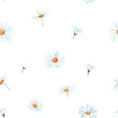 Watercolor chamomiles seamless pattern