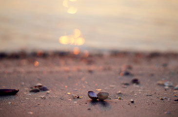 Sunset / By the sea / Background