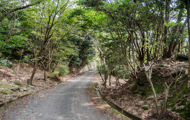 Path or pathway in forest at Okunoshima island. Japan