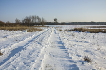 Fototapeta na wymiar Winter view of a dirt road
