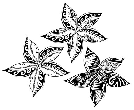 Naklejka Plumeria flower as tribal style tattoo