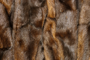 Texture of brown fur