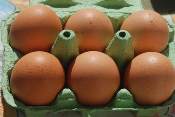 Bo&icirc;te d'oeufs
