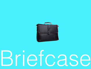 bag or briefcase bag on a background.