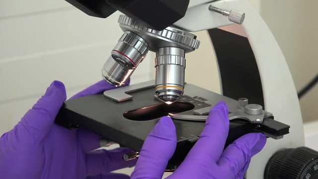 Installation of a research sample in a laboratory binocular microscope.