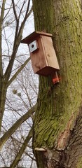 Budka dla ptaków © michalsen