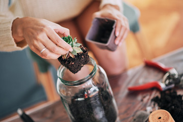 Beautiful mixed race woman gardening.