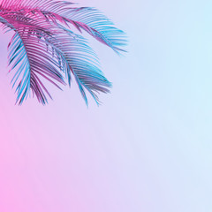 Fototapeta na wymiar Tropical and palm leaves in vibrant bold gradient holographic neon colors. Concept art. Minimal surrealism background.