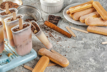 Tiramisu popsicles ice cream. Gelato pops with italian savoiardi cookies, mascarpone, milk chocolate, with tiramisu ingredients on grey stone kitchen table. copy space