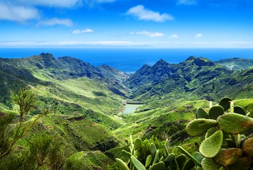 Zelfklevend Fotobehang Anaga natural park,Tenerife,Canary Islands © MIGUEL GARCIA SAAVED