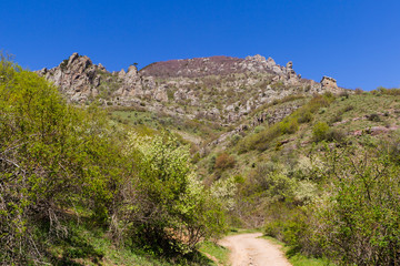 Obraz premium Russia, Crimea, Alushta, Demerdzhi Mountain, the Valley of the Gardens, flowering fruit trees. Beautiful spring landscape. Spring in the Crimea.