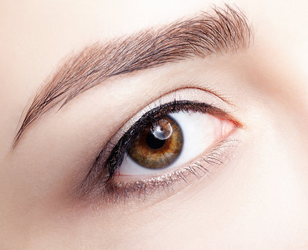 Closeup macro shot of  human brown female eye. Woman with natural nude face beauty makeup