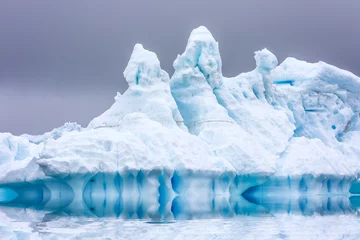 Rolgordijnen IJsvorming op Antarctica. Net voorbij de Gerlache Straits is waar deze Ice Garden bestaat © Lorraine Kourafas