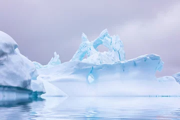Foto op Canvas IJsvorming op Antarctica. Net voorbij de Gerlache Straits is waar deze Ice Garden bestaat © Lorraine Kourafas