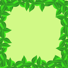 Fototapeta na wymiar green eco-frame made of leaves