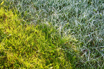 Half of a grassy field covered with frosen grass and half with new green herbs, Spring sunlight melting frosty grass on meadow, Spring warmth concept, Nature recovery, Sun warming earth