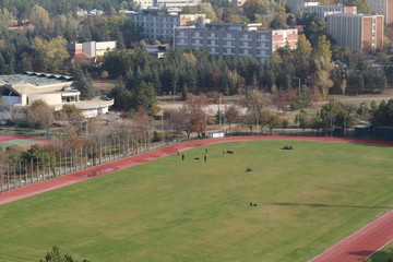 Obraz premium Campus 35