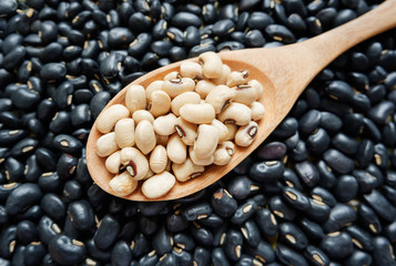 whole grains is soybeans in wooden spoon on the black turtle bean,Protein that help strengthen,Reduce the risk of High Blood Pressure..