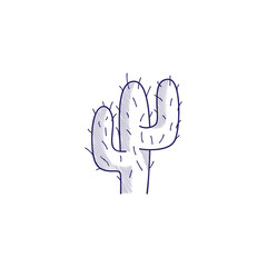 Minimalistic hand-drawn icon with a desert cactus. Hatched web icon