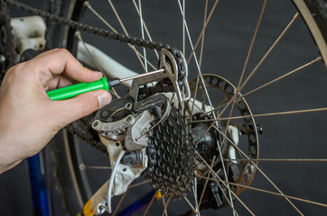 Fototapeta premium Setting up and repairing a bicycle master in the workshop