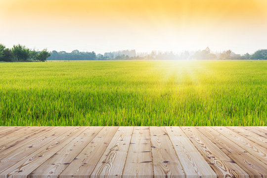 Perspective brown wooden board empty table in front of paddy field in morning time with sunlight on background - can be used for display or montage your products.Mock up for display of product.