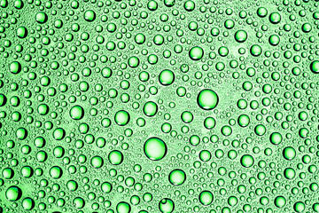 Perfect round water drops on transparent glass surface. Green droplets pattern background.