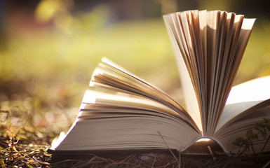 opened book in yellow autumn 