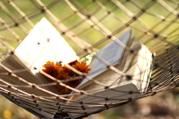 book in a hammock nobody