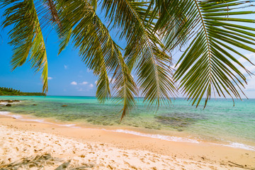 Obraz na płótnie Canvas Beautiful paradise island with sea and beach landscape