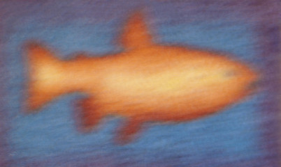 The image fish on a blue background.