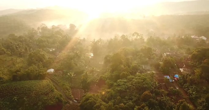 Beautiful aerial view of sunrise at palm oil plantation in Sukabumi, West Java, Indonesia. Shot in 4k resolution