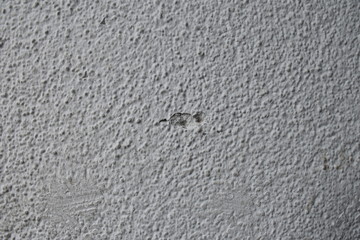 White Wall Texture