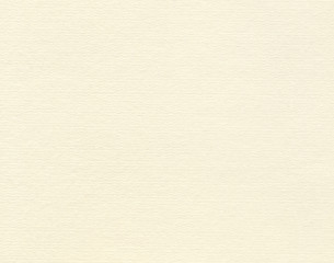 True watercolor paper. Medium texture. High quality details & resolution.