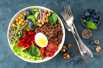 Buddha bowl dinner with boiled egg, chickpea, fresh tomato, sweet pepper, cucumber, savoy cabbage, red onion, green sprouts, spinach leaves, blueberry, walnuts, chia and quinoa