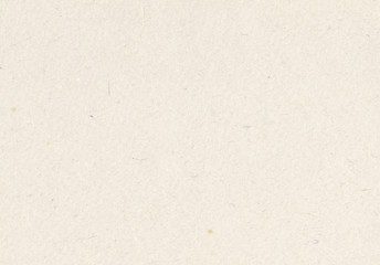 Light paper. Highly detailed texture & fine natural fibers.	