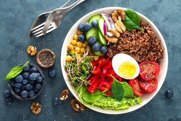 Buddha bowl dinner with boiled egg, chickpea, fresh tomato, sweet pepper, cucumber, savoy cabbage, red onion, green sprouts, spinach leaves, blueberry, walnuts, chia and quinoa