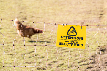 Elektrozaun am Hühnergehege