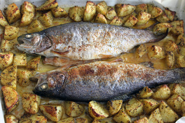 Trout with potatoes, home cooking