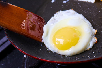 tasty fried egg