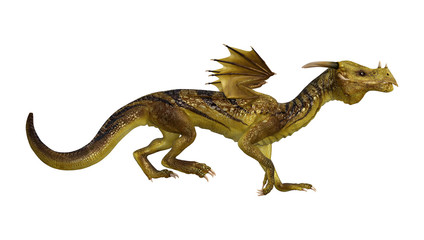 Fototapeta premium 3D Rendering Fantasy Dragon on White