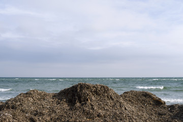 Fototapeta na wymiar Laesoe / Denmark: Seaweed mountains on the beach in the south of Bloeden Hale peninsula