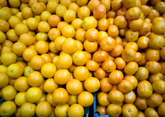 Citrus fruits on the shop window. Lemons and tangerines.