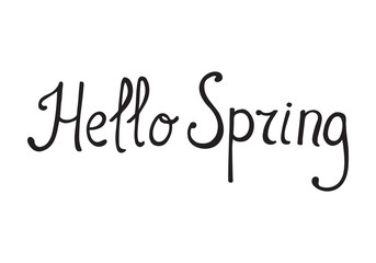 Fototapeta na wymiar Hello spring - hand drawn lettering