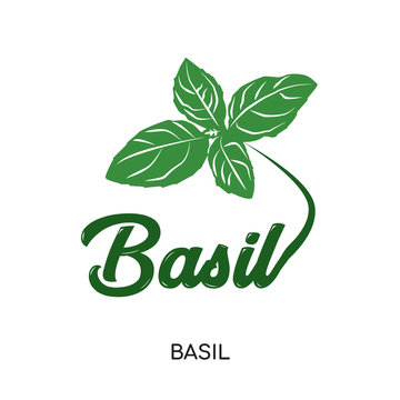 basil logo isolated on white background for your web, mobile and app design