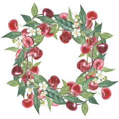 Hand-drawn watercolor wreath of flowers of cherry and leaves illustration. Watercolor botanical illustration isolated on white background.