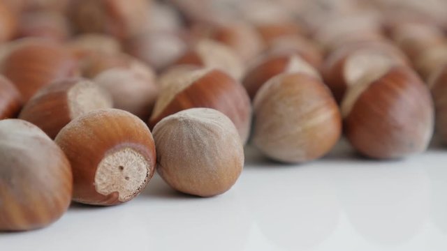 Tilting on hazelnuts on white background close-up footage - Corylus avellana species of nuts slow tilt