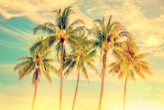 Group of palm trees, vintage style, summer and travel concept