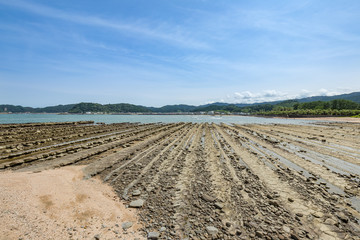 鬼の洗濯板